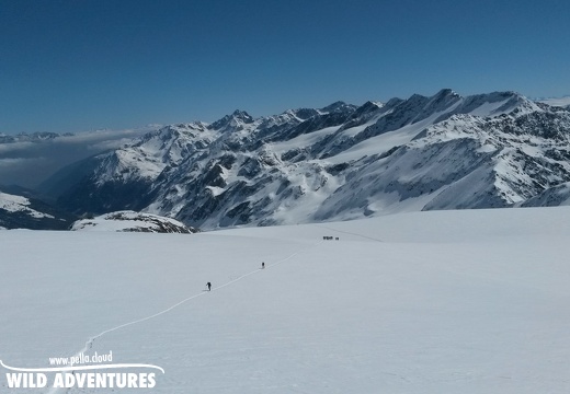 Zufallspitze - 2017