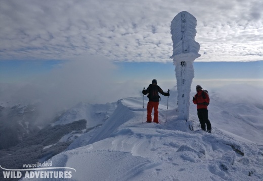 Monte Giovo - 2017