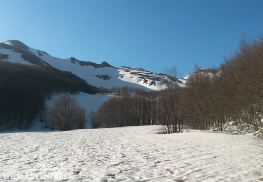 Corso Avanzato - 2018